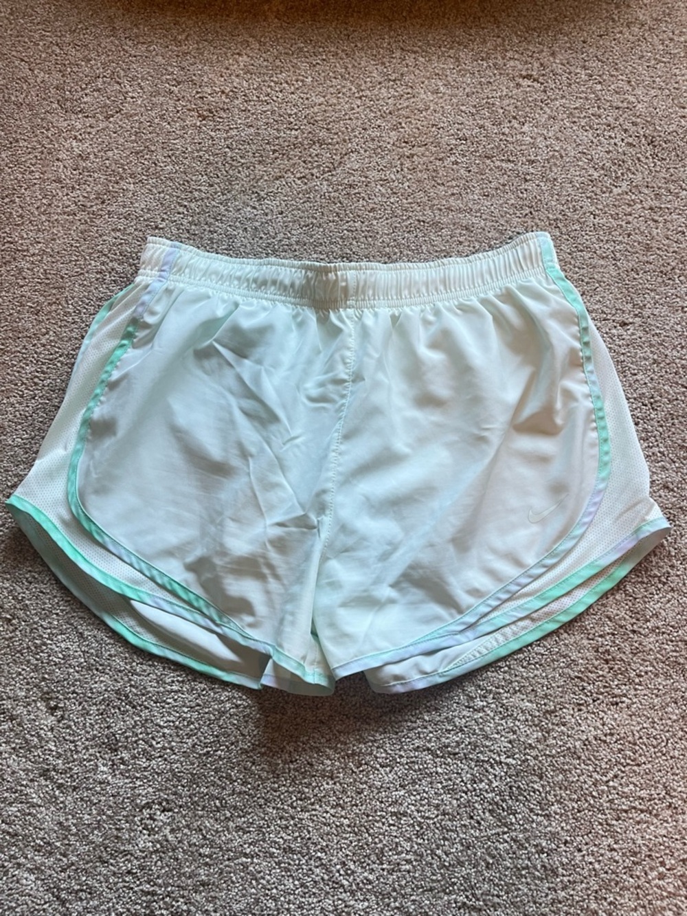 Nike Dri-fit Light Green Athletic Shorts with Mint Trim and Built-in Brief
